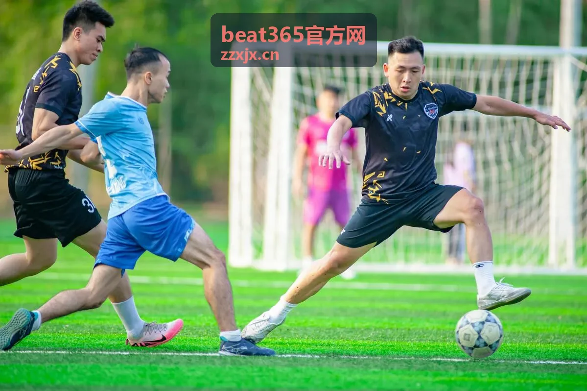 beat365官方网 数字服务指南文章封面图