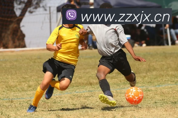 乐鱼官方端网站登录入口 - 乐鱼leyu(中国)平台生态图